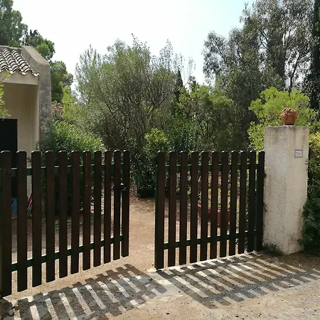 Apartment In Pineta